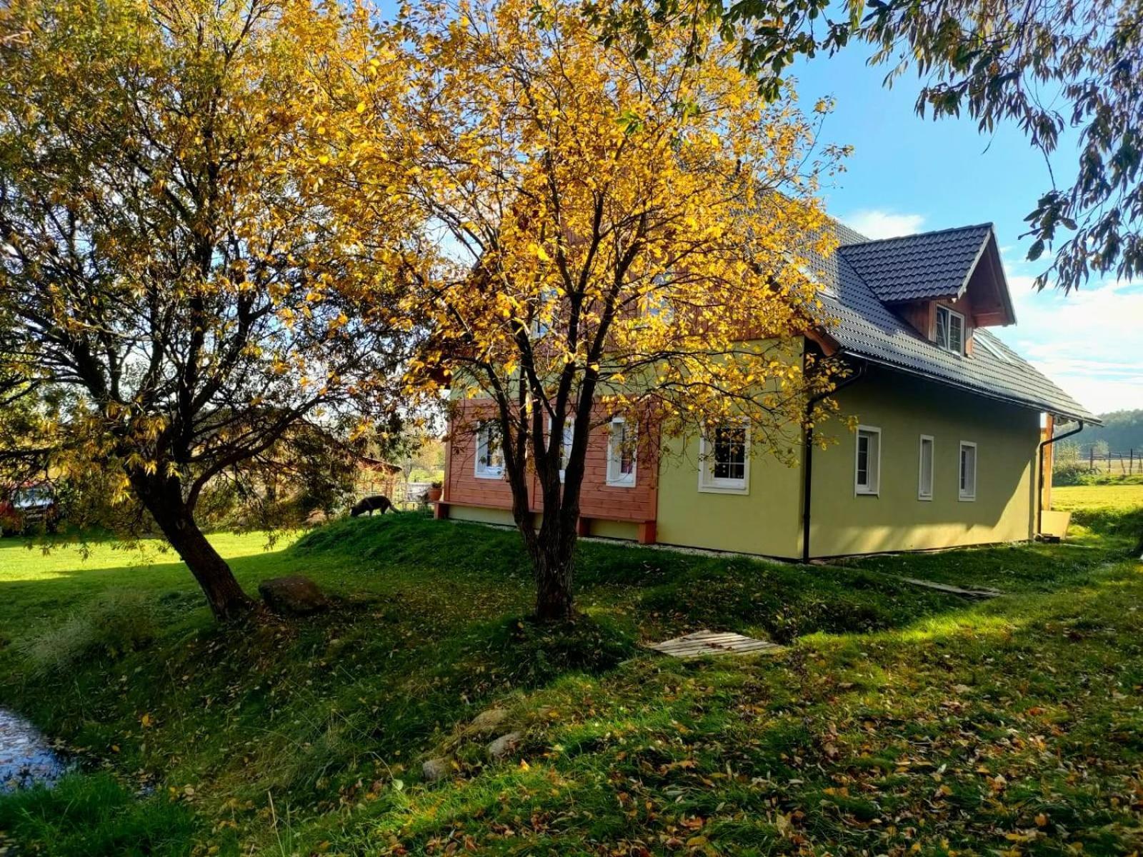 Apaluza - Unique Comfort & Relax In Nature Kopaniec Bagian luar foto